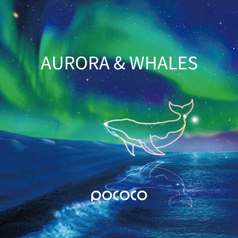 Aurora and Deep Sea - Discs for POCOCO Galaxy Projector, 5k Ultra HD, 6 Pieces ( No Projector ) 2