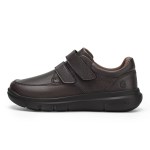 chocolate-brown