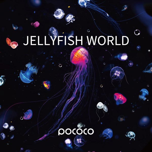 Aurora and Deep Sea - Discs for POCOCO Galaxy Projector, 5k Ultra HD, 6 Pieces ( No Projector ) 5