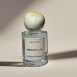 Melscen Lab Wildwood Whisper Eau De Parfum 50ml Melscen Lab Wildwood Whisper Eau De Parfum 50ml