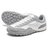 white-gray