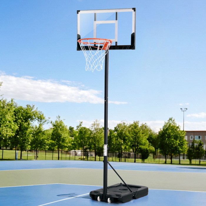 everfit 3.05m basketball hoop stand system portable height adjustable w/ knob