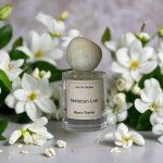 melscen lab mystic feather eau de parfum 50ml (copy)
