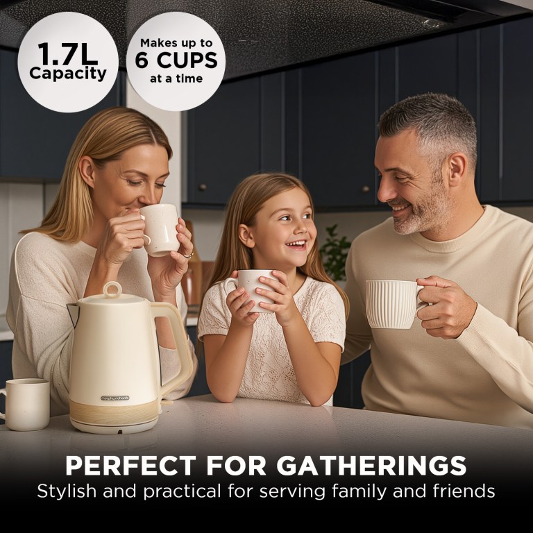 morphy richards 1.7l electric kettle essence scandi swivel base boil dry protection