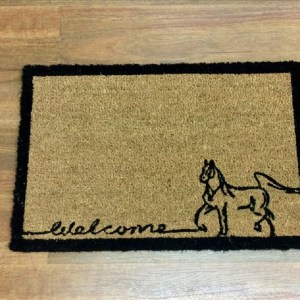 v637 e423281 202508252330 00.jpg