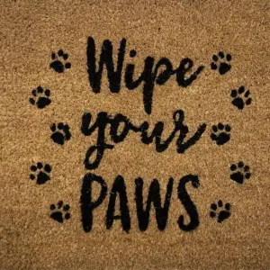 v637 e423622 202508252335 00.jpg