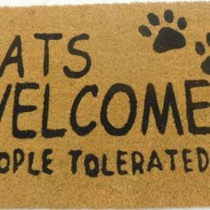 v637 e423706 202508252353 00.jpg