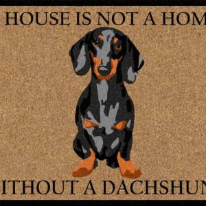 v637 e423729 202508252015 00.jpg