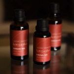 korganika aus korean red ginseng korganika aus korean red ginseng