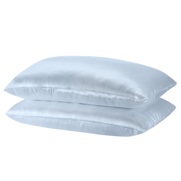 royal comfort mulberry soft silk hypoallergenic pillowcase twin pack 51 x 76cm soft blue royal comfort mulberry soft silk hypoallergenic pillowcase twin pack 51 x 76cm soft blue