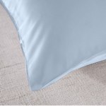 royal comfort pure silk pillow case 100% mulberry silk hypoallergenic pillowcase soft blue