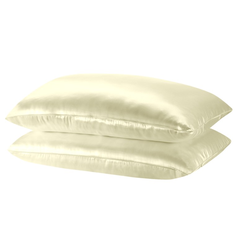 royal comfort mulberry soft silk hypoallergenic pillowcase twin pack 51 x 76cm ivory