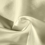 royal comfort mulberry soft silk hypoallergenic pillowcase twin pack 51 x 76cm ivory