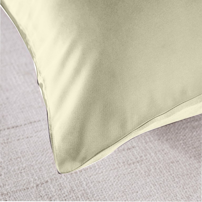 royal comfort mulberry soft silk hypoallergenic pillowcase twin pack 51 x 76cm ivory