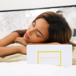 royal comfort mulberry soft silk hypoallergenic pillowcase twin pack 51 x 76cm ivory