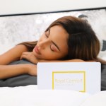 royal comfort mulberry soft silk hypoallergenic pillowcase twin pack 51 x 76cm charcoal