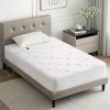 Modern bedroom with bamboo mattress and bedside table.