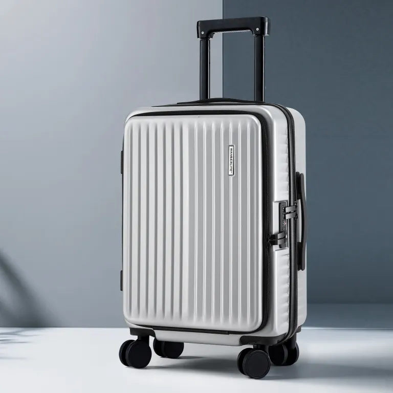 wanderlite 20 luggage suitcase front pocket travel carry on dual tsa silver" Silver hard-shell suitcase with four wheels and handle.