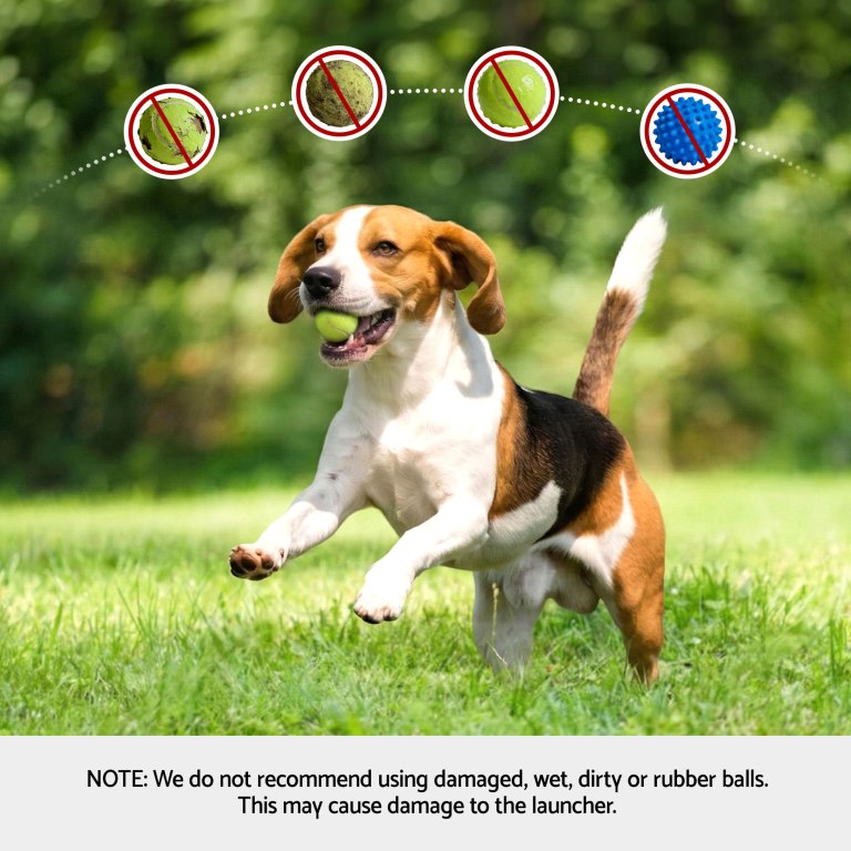 i.pet 2 in 1 dog ball launcher & treat dispenser with 2 balls green i.pet 2 in 1 dog ball launcher & treat dispenser with 2 balls green