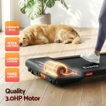 Treadmill running with dog resting beside plant.