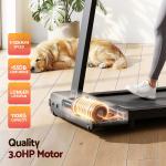 everfit walking pad treadmill 2 in 1 foldable for home gym 40cm wide belt 12 programs with app Treadmill with powerful motor, low noise, sleeping dog.