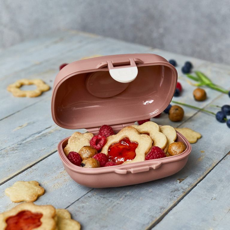 monbento mb gram kids snack box fox