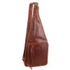 v563 pc3229 chestnut 202601141150 00.jpg