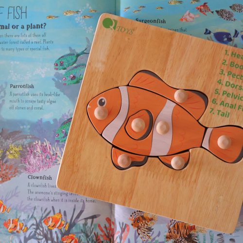 v59 633 202602031611 00.jpg Clownfish puzzle on illustrated coral reef book.