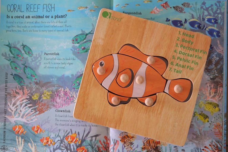 Clownfish puzzle on illustrated coral reef book.