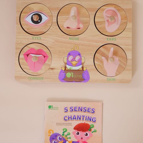 v59 637 202602031611 00.jpg Educational toy displaying five human senses.