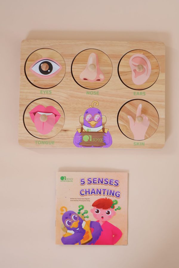 v59 637 202602031611 00.jpg Educational toy displaying five human senses.