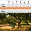 asmoke 100% natural premium oak wood bbq pellets for smoker & grill (9kg / 20lbs) Smoking suitability chart and oak tree photo.