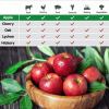 asmoke as350 portable smart wood pellet grill (cyder black) + 2 x 20lb assorted flavors wood pellets bundle (oak/cherry/apple) asmoke as350 portable smart wood pellet grill (cyder black) + 2 x 20lb assorted flavors wood pellets bundle (oak/cherry/apple)