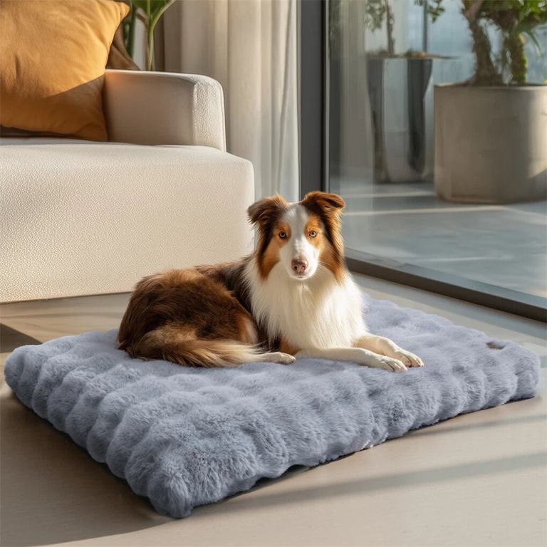 plush pet bed with non slip base and removable cover Dog resting on fluffy grey bed indoors.