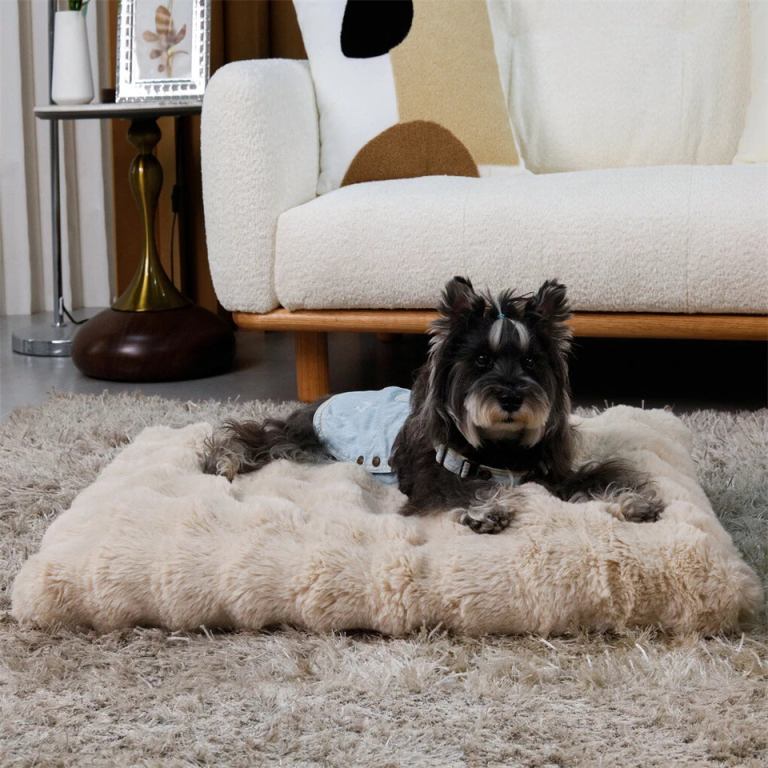 plush pet bed with non slip base and removable cover Dog in denim on fluffy rug indoors