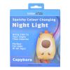 Brillar Kids capybara night light packaging.