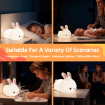 Versatile bunny lamp for various scenarios.