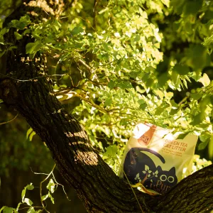 xfph cl gt plx2 202603101324 00.jpg