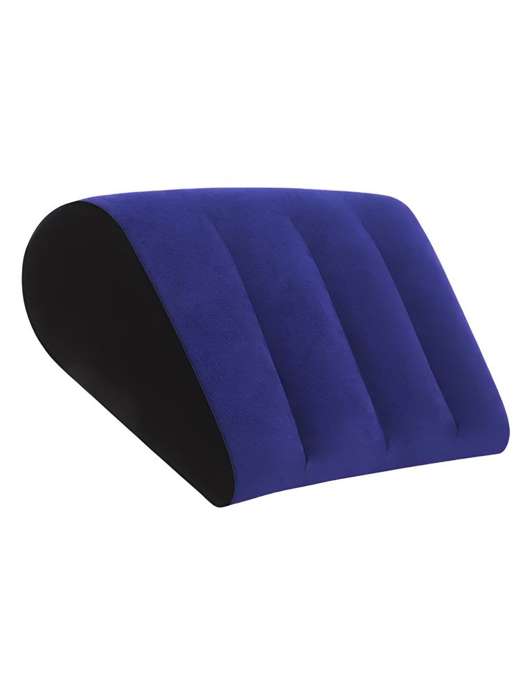 000 b3e60cac fd84 4c00 9f40 1210f7eddad3.jpg Blue contoured lumbar support wedge cushion