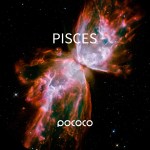 Realistic Constellation-2 - Discs for POCOCO Galaxy Projector, 5k Ultra HD, 6 Pieces ( No Projector ) 2