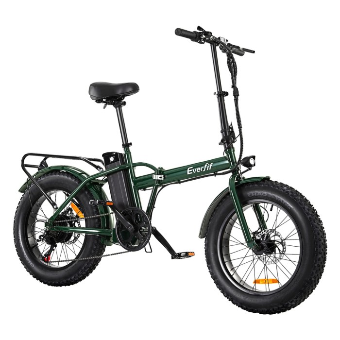 ebike c 20fd hcs gn 202503061006 00.jpg ebike c 20fd hcs gn 202503061006 00.jpg