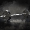 everfit 28kg barbell set weight plates bar lifting bench 168cm everfit 28kg barbell set weight plates bar lifting bench 168cm