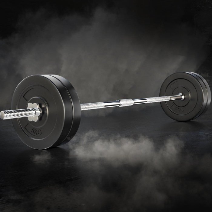 everfit 28kg barbell set weight plates bar lifting bench 168cm everfit 28kg barbell set weight plates bar lifting bench 168cm