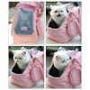 White cat sitting in pink pet carrier bag