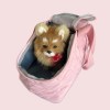 Fluffy Pomeranian inside pink quilted pet carrier
