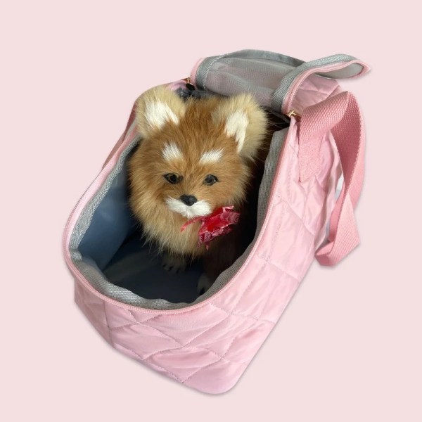 Fluffy Pomeranian inside pink quilted pet carrier