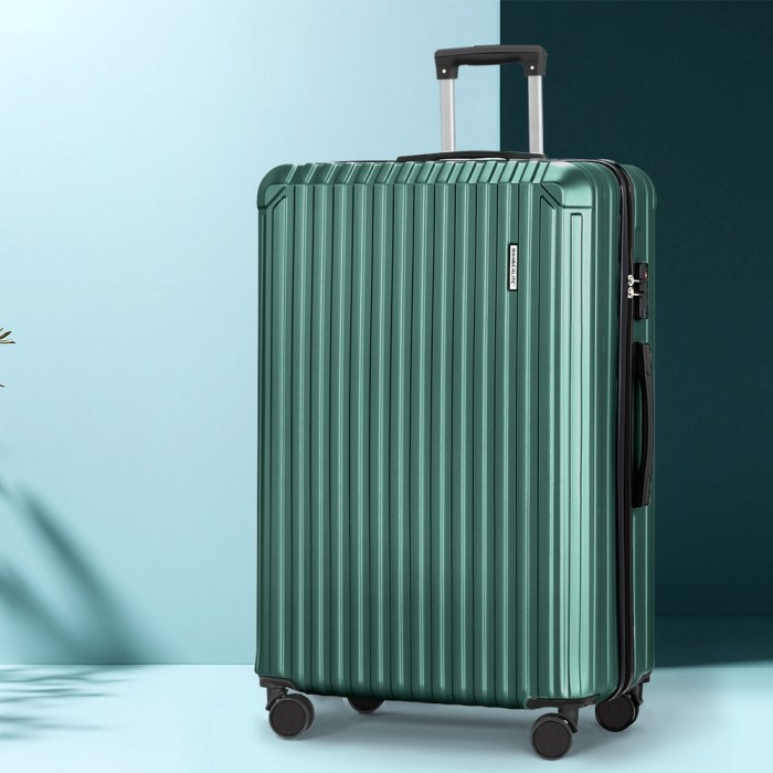 wanderlite 28'' luggage travel suitcase set tsa carry on hard case green