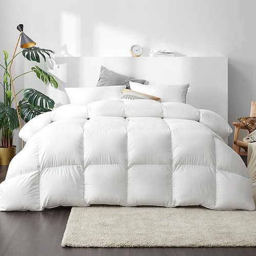 quilt dfd 700 q 202502281410 00.jpg