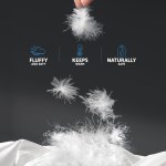 giselle bedding 500gsm duck down feather quilt queen