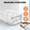 giselle bedding 800gsm goose down feather quilt king